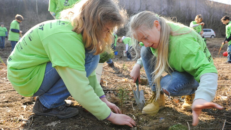 Dresdner Schüler hatten sich an einer Pflanzaktion der Stiftung Wilderness International in der Heide beteiligt. Am Sonnabend werden Bäume im Rödertal gepflanzt.