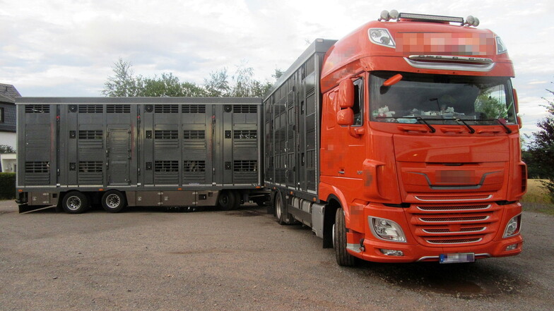 40 Anzeigen gegen Tiertransporte auf der A4