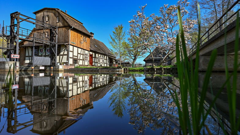 Eine Magnolie blüht neben der Radduscher Buschmühle. Im Spreewald findet nach zwei Jahren Pause Pfingsten wieder eine Sagennacht statt.