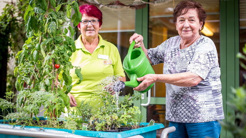 Um die Pflanzen kümmern sich die Senioren in der ASB-Tagespflege in Königsbrück selbst. Karin Fehre (l.), langjährige Betreuungskraft, hilft dabei.