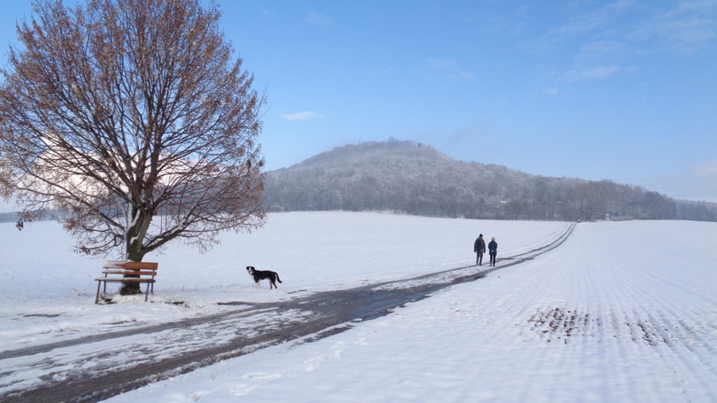Mit Hund und Ausblick: Spaziergänger an der Landeskrone. Gegen Monatsende machte der Görlitzer Wolfgang Breitkopf dieses Winterfoto.