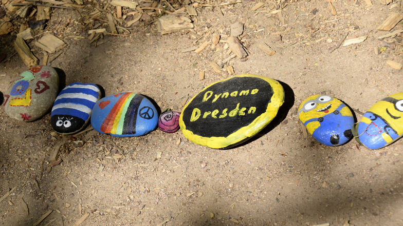 Ob Dynamo Dresden oder die Minions: Dresdner Kinder hinterlassen im Waldpark mit den Motiven Dinge aus ihrer Lebenswelt. 