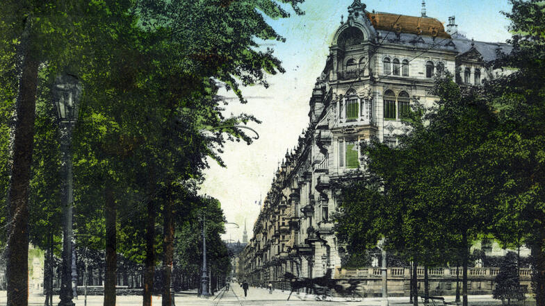 Straßenbäume sind auf dieser Postkarte aus dem Jahr 1910 an der Johann-Georgen-Allee zu sehen. Heute heißt die einstige Prachtstraße  Lingnerallee. 