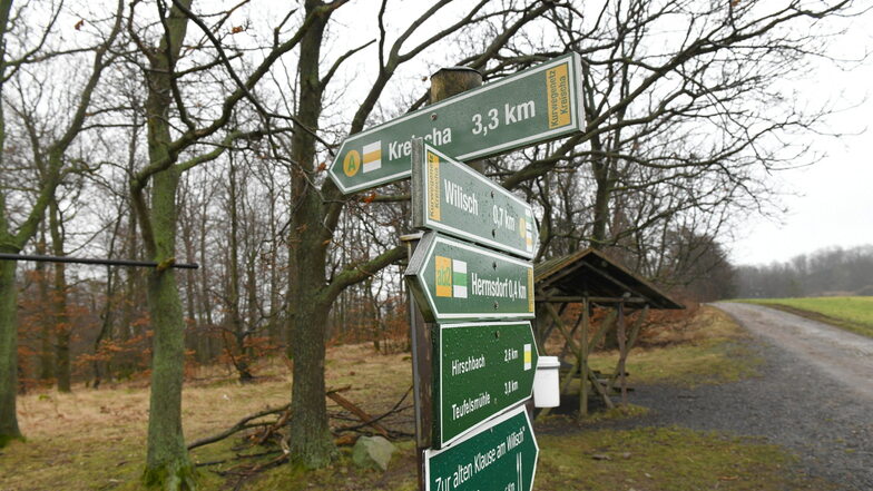Im Naherholungsgebiet am Wilisch bei Hermsdorf sollte ein Waldfriedhof entstehen.