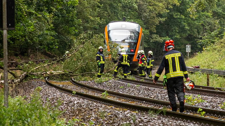 Zug fährt gegen umgestürzte Bäume