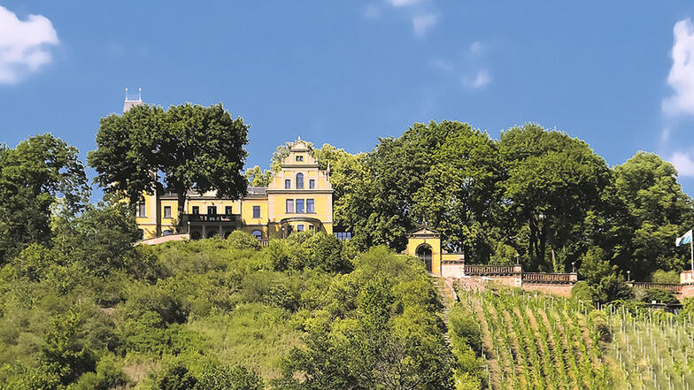 „Landsitz Schloss Wettinhöhe“ mit Park in Radebeul / Mindestgebot 3.500.000 Euro