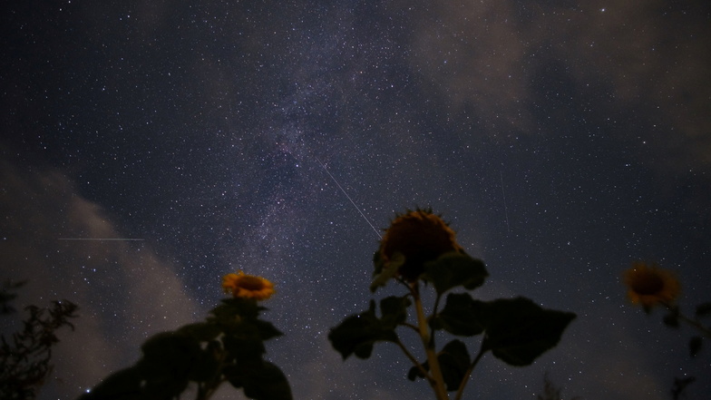 Sternschnuppen der Perseiden sind am Nachthimmel zu sehen.
