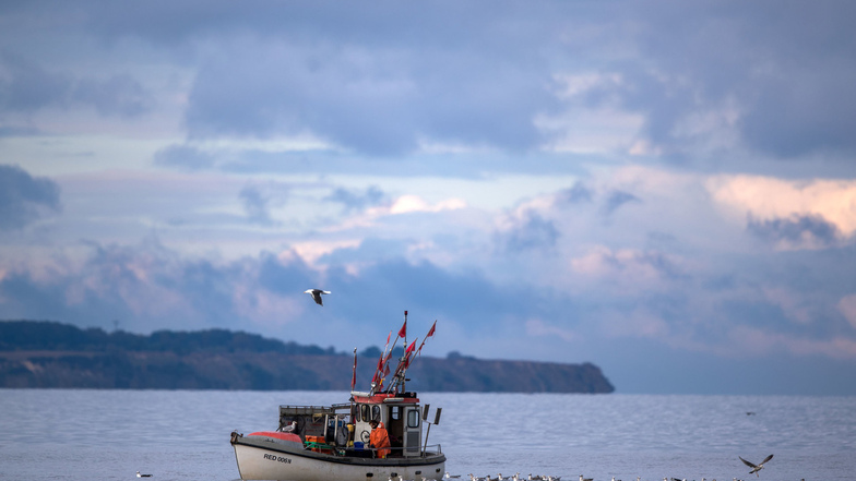 Nahe der Ostseeinsel Poel holt die Fangnetze ein. Bald werden die Fangquoten reduziert.