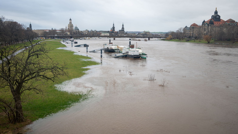 In Dresden herrscht Hochwasser. Warnstufe 3 wird erwartet.