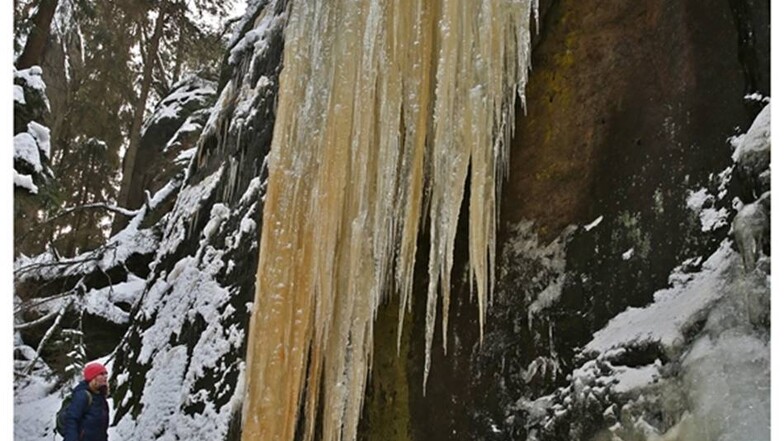 Eine "Eiszapfenwand" im Polenztal unterhalb der Burg Hohnstein in der Sächsischen Schweiz.