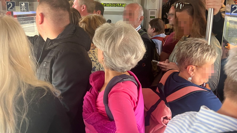 Überfüllte Züge: Verkehrsplaner versagten zu den Weinfesten im Elbland