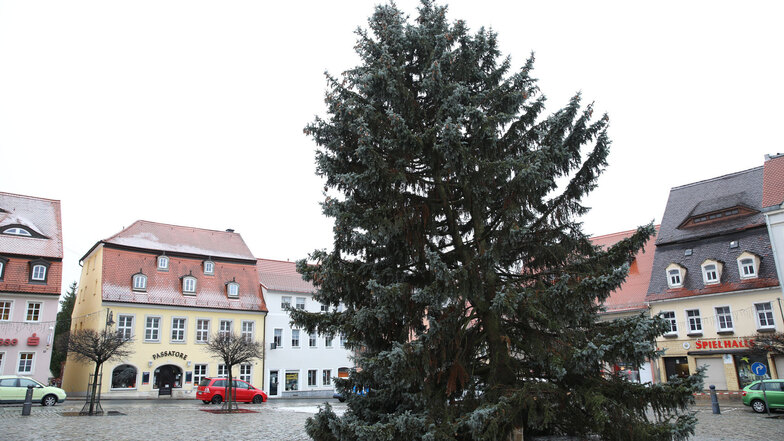 Der ehemaligen Pulsnitzer Weihnachtsbaum hatte viele Diskussionen ausgelöst.