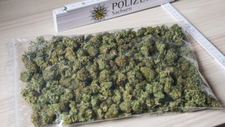 Dieses Marihuana fanden Polizisten bei dem Löbauer.