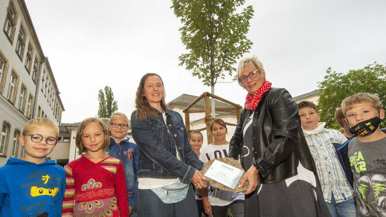 Gemeinsam mit Kindern der Schiller-Schule platzierten Sylvia Preißler (4.v.l.) und Schulleiterin Sabine Kranz (3.v.r.) den Gedenkstein vor dem jungen Amberbaum.