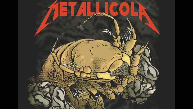 Die Metallica-Assel Macrostylis metallicola als künstlerische Interpretation