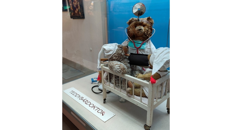 Der Teddydoktor kommt nach Meißen ins Stadtmuseum und kümmert sich um pelzige Patienten.