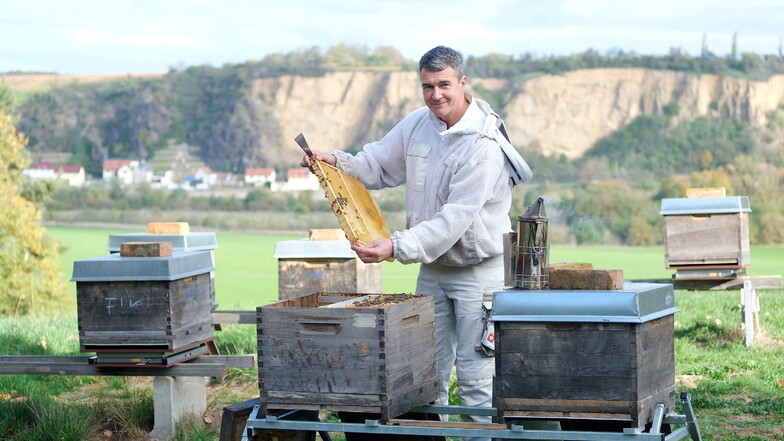 Imker Rico Heinzig bietet Bienen-Patenschaften für Unternehmen. Dazu gehört auch eine eigens entwickelte App.