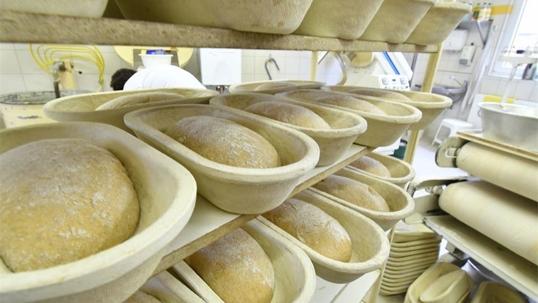 In speziellen Bast-Formen liegen die Sauerteig-Brote, bevor es in den Ofen geht.