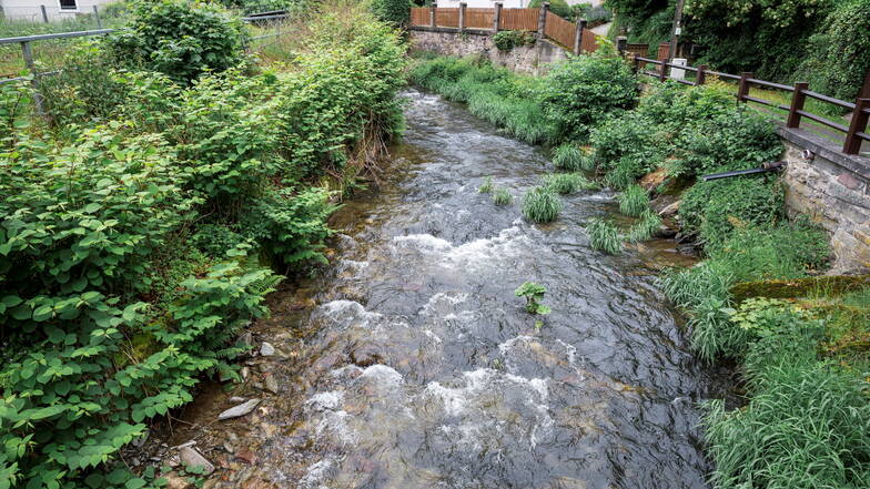 Blick auf einen Fluss: Wasser aus der freien Natur sollte man grundsätzlich nicht trinken.