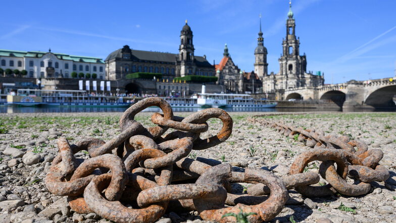 Die Elbe am Freitag in Dresden: Der Pegel liegt aktuell bei nur 90 Zentimetern.