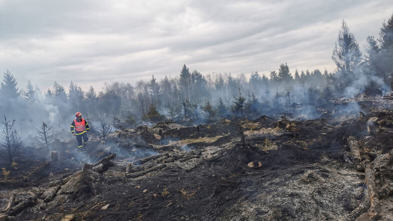 Unweit der deutsch-tschechischen Grenze gab es am Dienstagnachmittag einen Waldbrand.