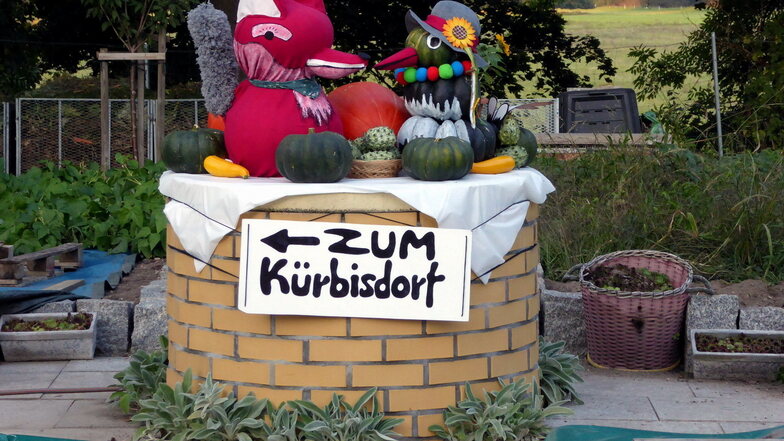 Hier geht es zum Kürbisdorf Ludwigsdorf bei Görlitz, wo jedes Jahr die schwersten Kürbisse in Sachsen ermittelt werden.
