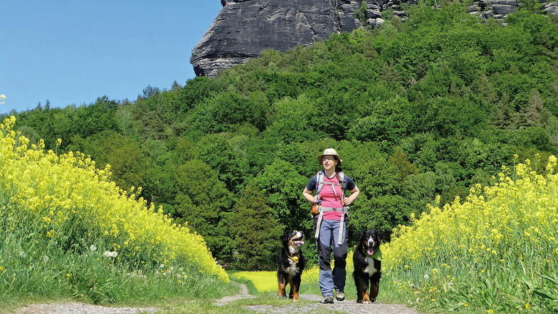 Wandern mit Hund in der Sächsischen Schweiz