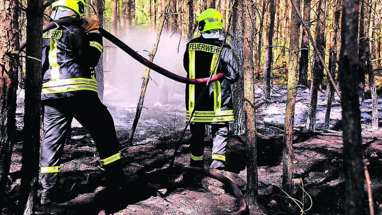 Wieder waren Feuerwehrleute in dem Waldstück an der Forststraße nahe der Mistschänke im Einsatz, wo es schon am Dienstag gebrannt hat. Kurz vor 17 Uhr konnte der Einsatz am Donnerstag beendet werden.