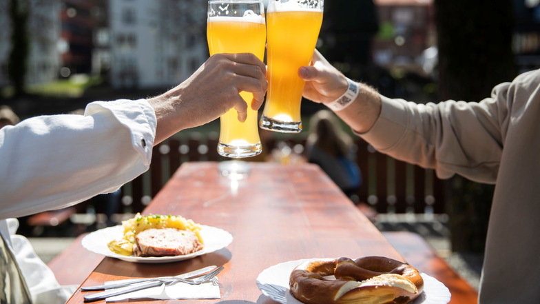 Welcher ist Dresdens schönster Biergarten? Stimmen Sie ab!
