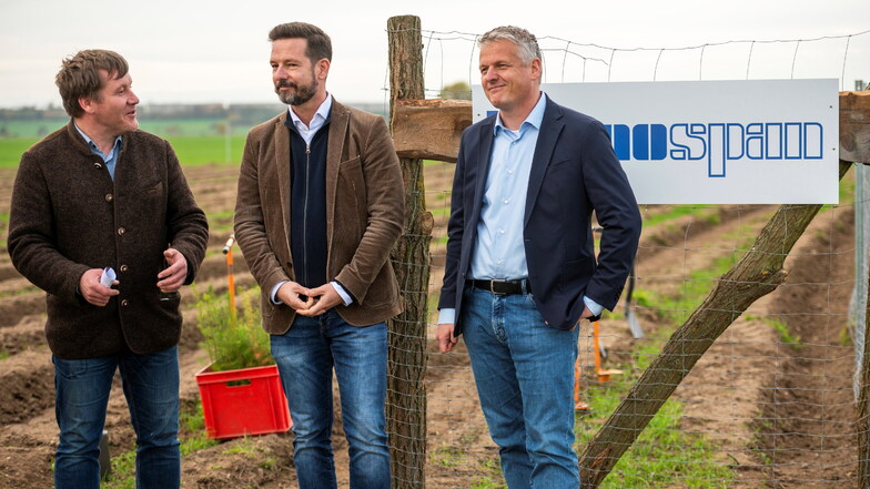 Oberbürgermeister Sven Mißbach (l.) mit David Brenner (Mi.) und Tino Hesse, den beiden Geschäftsführern von Kronospan, an der neuen Waldfläche.