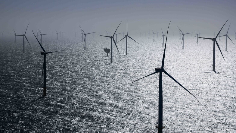 Windräder eines Offshore-Windparks in der Nordsee. Die Niederlange haben erstmals Windräder wegen des Volgelzugs angehalten.