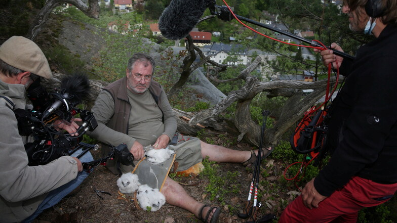 Ein Arte-Filmteam dreht eine dreiteilige Natur-Doku entlang des Oberlausitzer Bergwanderwegs und hat Ulrich Augst am Donnerstag beim Beringen begleitet.