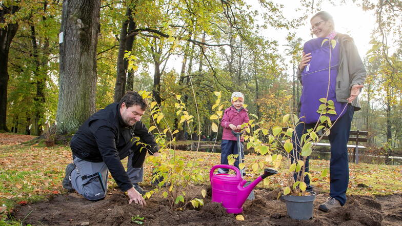 Falk Flößel und Christin Scheunert pflanzen mit ihren Kindern Elsa (4 Jahre) und Aaron (sechs Monate) Sträucher für den Bienenpark Kraußnitz, initiiert vom dortigen Natur- und Heimatverein.