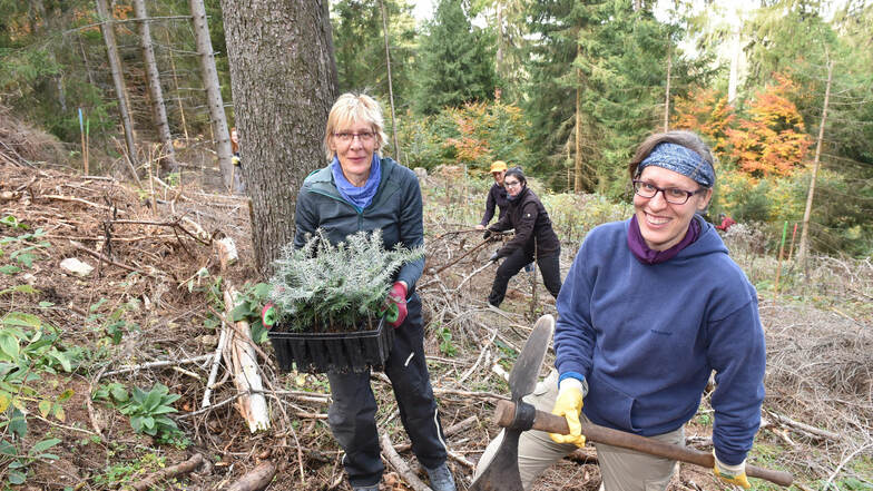 Katherina (re.) und Ute Hentschel pflanzen zusammen mit den anderen Freiwilligen des Bergwaldprojekts Weißtannen an den Steilhängen des Pöbeltals.