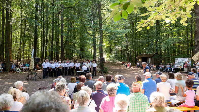 Das Konzert des Männerchores Poisental am Steinernen Tisch im Poisenwald lockt viele Zuhörer an.