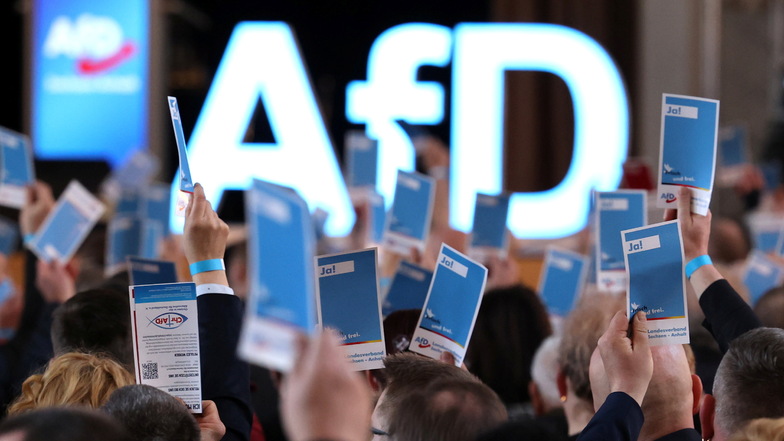 Verfassungsschutz darf AfD weiter als rechtsextremen Verdachtsfall führen