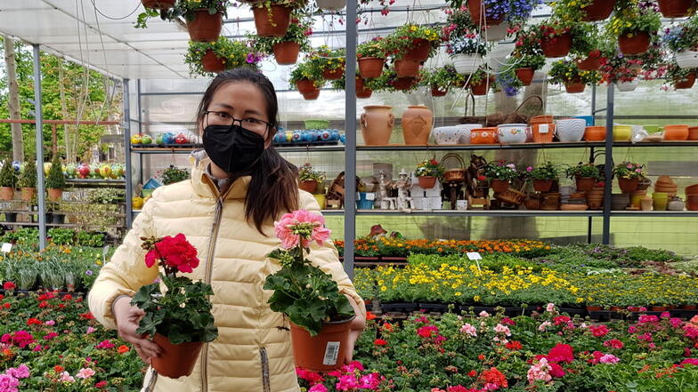 Nguyen Oanh, die in einem Asia-Markt in Rožany arbeitet, hat nach der überraschenden Grenzöffnung schnell reagiert und sich mit frischen Blumen eingedeckt.
