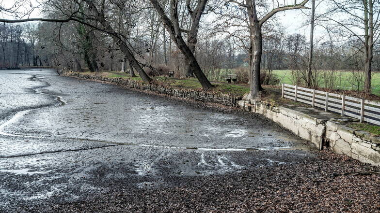 So sah es Ende Januar am Merzdorfer Teich aus: Im abgelassenen Teich schlängelte sich nur ein kleines Rinnsal durch den Schlamm.