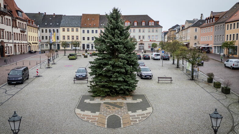 In Leisnig wurde eine Blaufichte, die am Johannistal gewachsen ist, als diesjähriger Weihnachtsbaum ausgewählt.