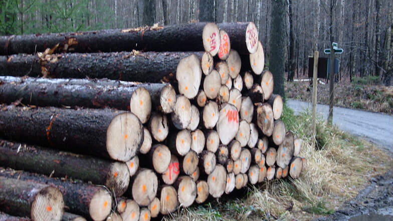 Tausende Kubikmeter Holz finden keine Abnehmer.