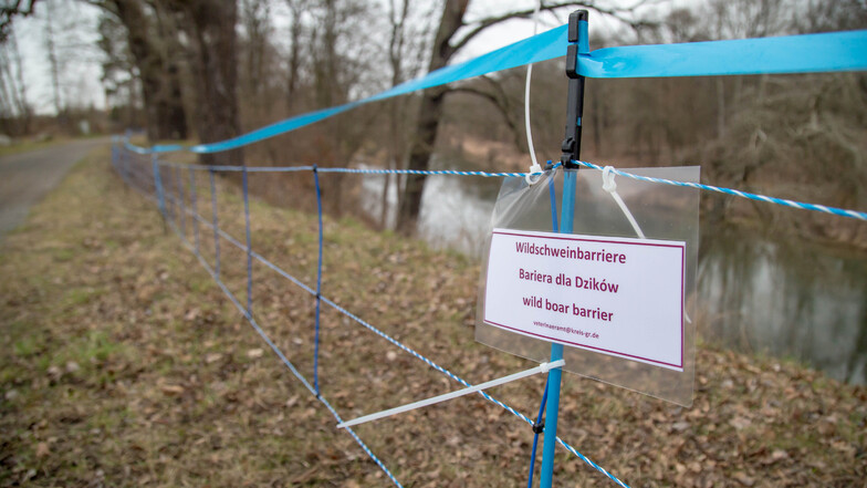 In der vergangenen Woche  wurde diese Barriere von der brandenburgischen Grenze bis zum Park Bad Muskau errichtet.