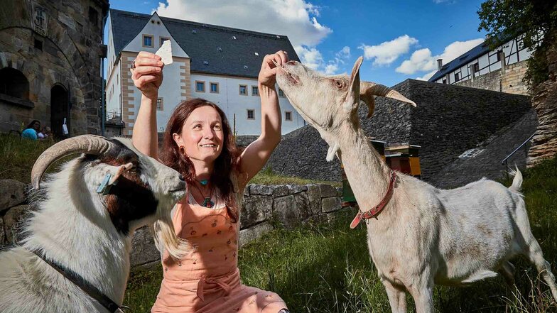 Museumspädagogin Maria Pretzschner mit den beiden Ziegen auf der Festung Königstein.