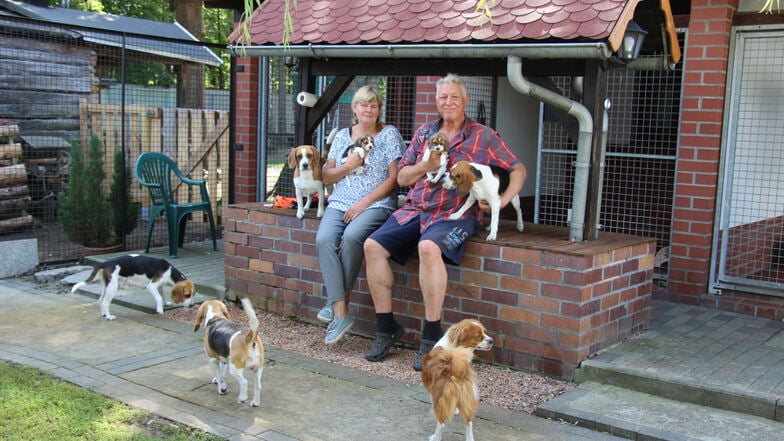 Claudia und Frank Böhm haben ihre Leidenschaft zum Beruf gemacht und betreiben in Bluno eine Hundepension.