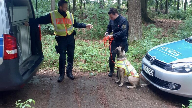 Bei der Suche nach einem möglicherweise Verletzten im Zittauer Gebirge kamen am Dienstag auch Rettungshunde zum Einsatz.