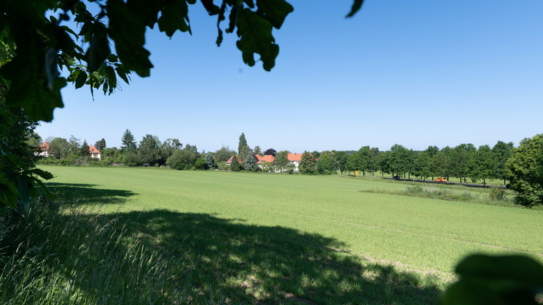 Heute noch landwirtschaftliche Fläche, soll am Taubenberg schon bald eine Gleisschleife samt Parkhaus gebaut werden.