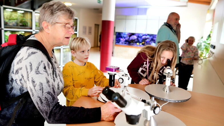 Elisabeth Mizera aus Oppach nutzte jetzt mit ihren Enkeln Finja und Benno beim Besuch im Schmetterlingshaus in Jonsdorf die neue Mikroskop-Station.