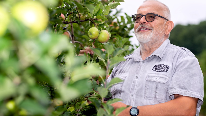 Entspannt beobachtet der Schirgiswalder Obstbauer Bernhard Stolle in dieser Saison seine Äpfel: Das Jahr war gut, und im kommenden kümmert sich ein anderer um den Betrieb der Plantage.