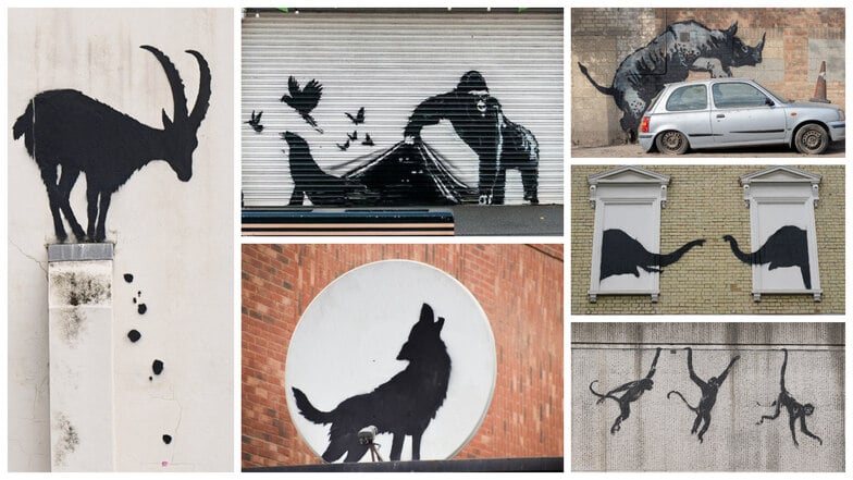 Eine Woche lang überrascht Banksy die Londoner täglich mit einem neuen Tierbild - darunter Elefanten, Äffchen, ein Wolf, Pelikane und auch ein Nashorn.