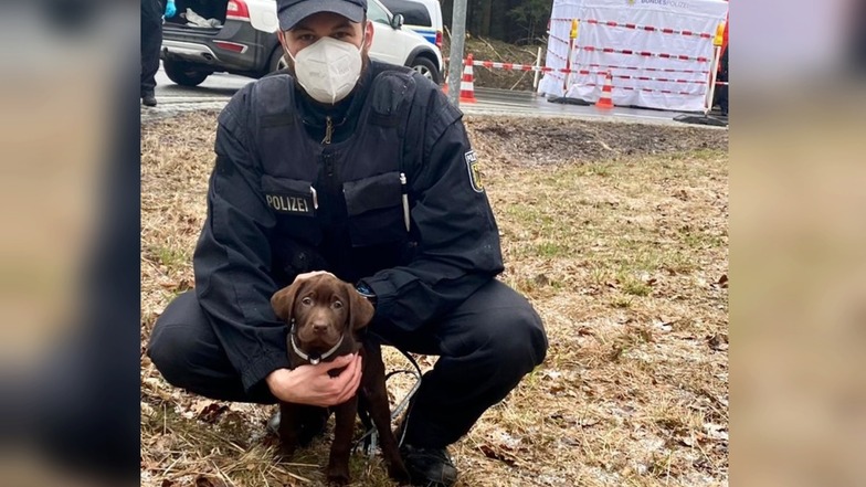 Ein Bundespolizist mit einem der Labrador-Welpen.
