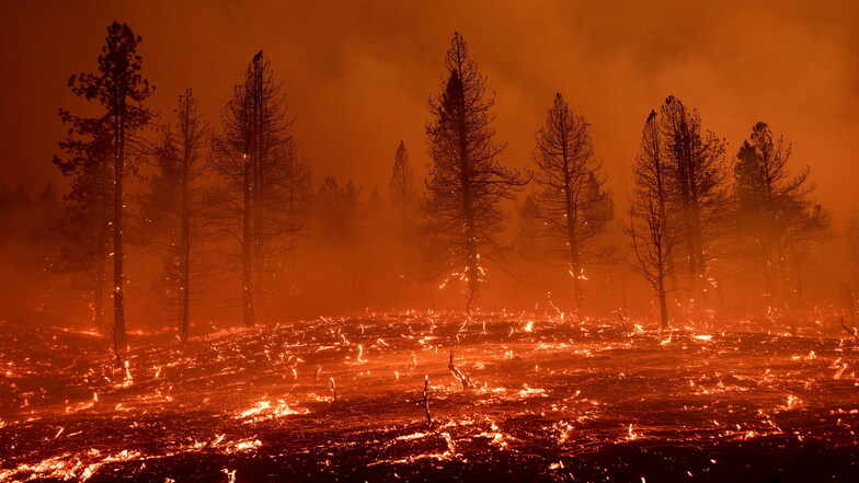 Die Waldbrände in den USA nehmen zu, auch wegen der großen Hitzewellen die die Westküste Nordamerikas in diesem Jahr mehrfach heimsuchten.